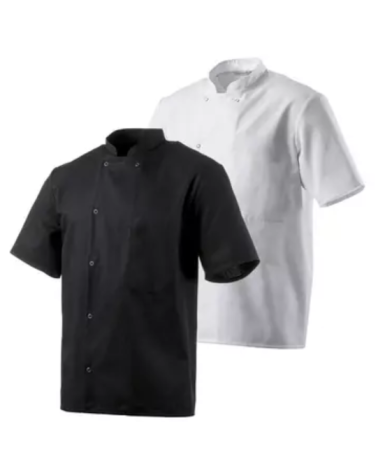 Veste de cuisine manches courtes ROBUR